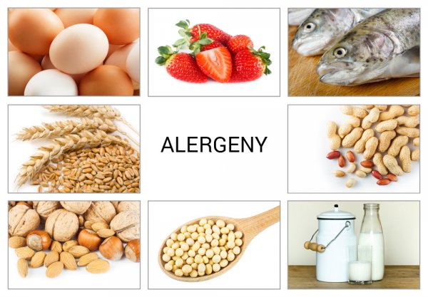 Seznam alergenů