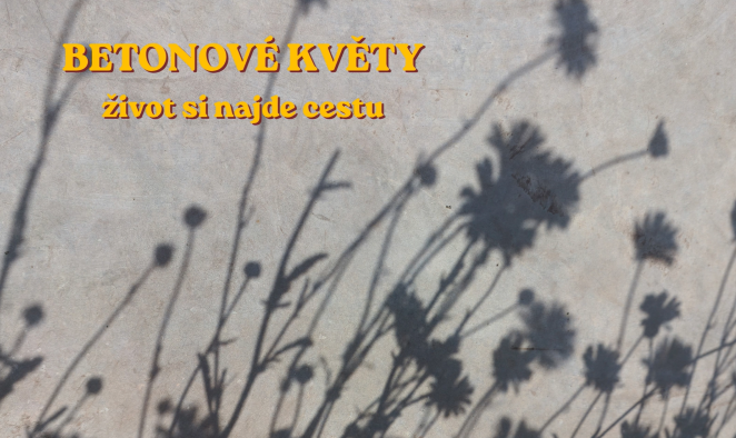 Soutěž "Zlatá Beruška" pro školní rok 2025/2026